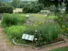 Morvan Regional Nature Park - Herbularium (herb garden) of the Park House - Espace Saint-Brisson