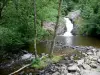 Morvan Regional Nature Park - Gouloux waterfall (Caillot waterfall) in a greenery setting