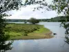 Morvan Regional Nature Park - View of Saint-Agnan lake (artificial lake) and its banks, branches of trees in the foreground