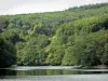 Morvan Regional Nature Park - Chaumeçon lake (artificial lake) and its wooded bank