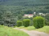 Morvan Regional Nature Park - Small road, meadows, trees, houses and forests