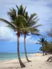 Le Moule - Fine sand, coconut trees and lagoon of the Autre Bord beach