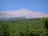 Mount Ventoux - Tourism, holidays & weekends guide in the Vaucluse