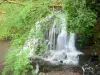 Murel waterfalls - Waterfall surrounded by trees