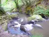 Murel waterfalls - Franche Valeine stream through the forest