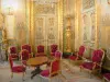 Museo del Louvre - Ala Richelieu - apartamentos Napoleón III: gran salón