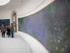 Museo de la Orangerie - Nenúfares de Claude Monet