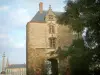 Nantes - The Saint-Pierre gateway, building and statue of the Maréchal-Foch square