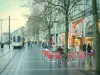 Nantes - Terraza del café, los árboles, las tiendas, los edificios y el tranvía