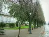 Nantes - Cours Cambronne, con sus callejones, sus árboles y farolas