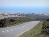 Narbonne-Plage - Road lined with vegetation overlooking the resort and the Mediterranean sea