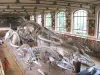 The National Museum of Natural History - Tourism, holidays & weekends guide in Paris