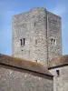 Nemours - Torre quadrata del castello medievale