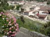 Nérac - Los geranios (flores) en primer plano con vista de la Baise río y las casas de la Nérac de edad (Edad Media)