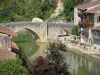 Nérac - Antiguo puente sobre el río Baise, los árboles y las casas de Nérac de edad (Edad Media)