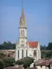 Nérac - Iglesia de Notre Dame, los árboles y los tejados de la Edad Media