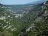 Nesque gorges - Wild canyon with rock faces, trees and forests