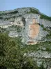 Nesque gorges - Trees and steep cliff (rock face) and trees of the wild canyon