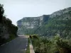 Nesque gorges - Canyon road, the steep cliffs (rock faces) and trees