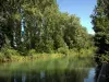 Neuilly-sur-Marne - Trees by the water