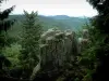 Neuntelstein - La parte superior de la roca, con vistas a los árboles y las colinas cubiertas de bosques