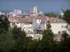 Nîmes - View of the bell tower of the Notre-Dame et Saint-Castor cathedral, houses and buildings of the town, trees in foreground