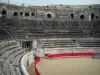 Nîmes - Arenes (anfiteatro romano)