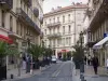 Nîmes - Shopping street lined with potted palms, shops and buildings