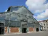 Niort - Covered market hall of Baltard style with clouds in the blue sky