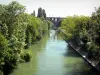 Nogent-sur-Marne - River Marne lined with trees