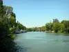 Nogent-sur-Marne - River Marne lined with trees