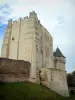 Nogent-le-Rotrou - Keep and round tower of the Saint-Jean castle