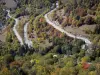 Oisans - Road of L'Alpe d'Huez: winding road lined with trees with autumn colors