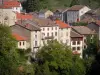 Olliergues - Portal of the Notre-Dame church, houses of the village and trees; in the Livradois-Forez Regional Nature Park