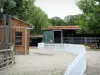 Open Farm of Saint-Cyr-l'Ecole - Finding farm animals