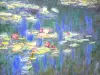 Orangerie museum - Details of Water Lilies by Claude Monet