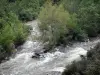 Orb gorges - Orb river, trees along the water, in the Upper Languedoc Regional Nature Park