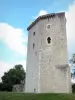 Orthez - Tour Moncade mazmorra del castillo viejo Moncade