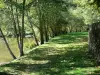 Ouriço - Caminhe ao longo do rio Aumance (árvores na beira da água)