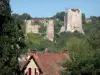 Ouriço - Ruínas (restos) do castelo feudal com vista para as casas da vila medieval