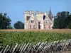 Paesaggi della Gironda - Bordeaux vigneti: Lachesnaye castello, vigneto, Cussac -Fort - Médoc e vigneti in primo piano