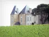 Paesaggi della Gironda - Vino Bordeaux : Château d' Yquem e vigneti, vigneto, Sauternes