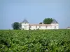 Paesaggi della Gironda - Bordeaux vigneto