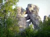 Païolive wood - Natural sculpture: bear and lion rocks
