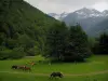 Paisajes de Alto Garona - Los caballos en un prado, árboles y montañas de los Pirineos con nieve