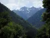 Paisajes de Alto Garona - Árboles, bosques y montañas de los Pirineos