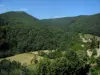 Paisajes de Alto Garona - Los árboles, campos, casas y cerros de Cominges