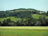 Paisajes de Alto Garona - Los campos y los árboles, en Lauragais