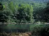 Paisajes de Alto Garona - River (río Garona) y los árboles