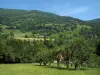 Paisajes de Alto Garona - Los árboles, los campos y colinas de Comminges